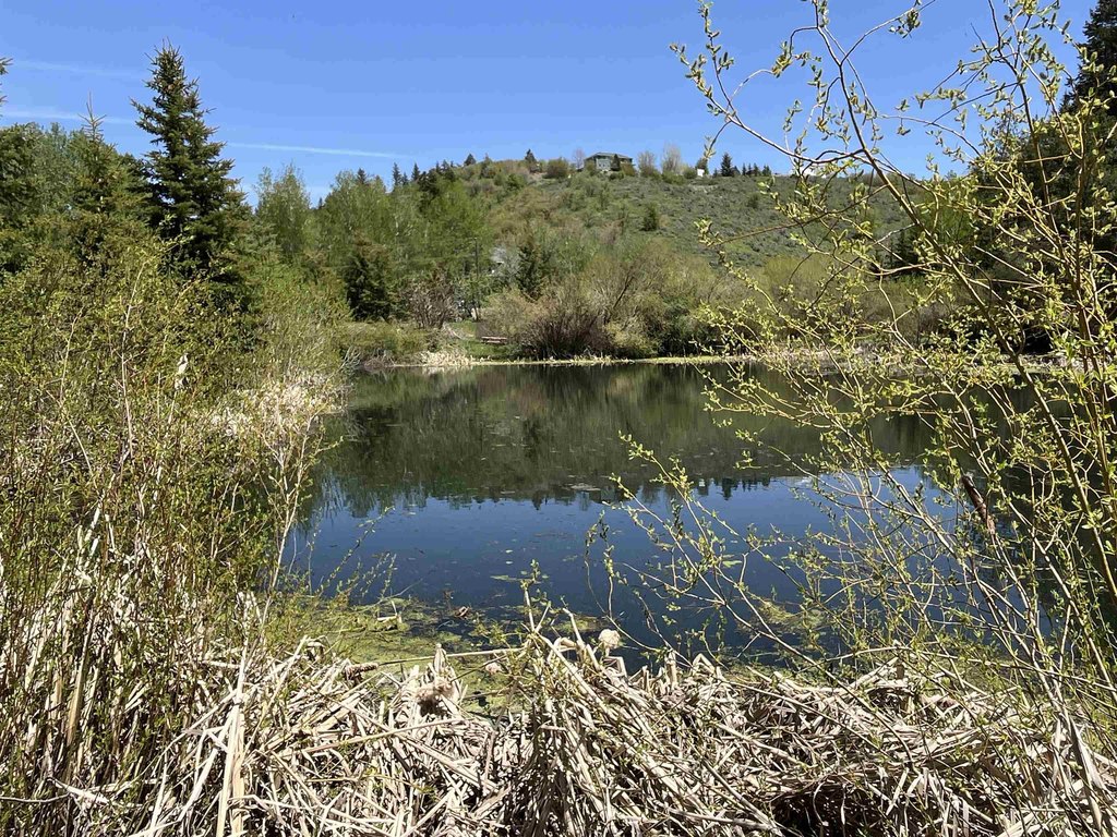Picture 39