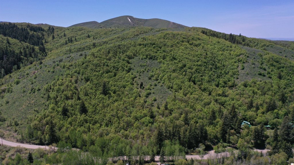 Picture 17
