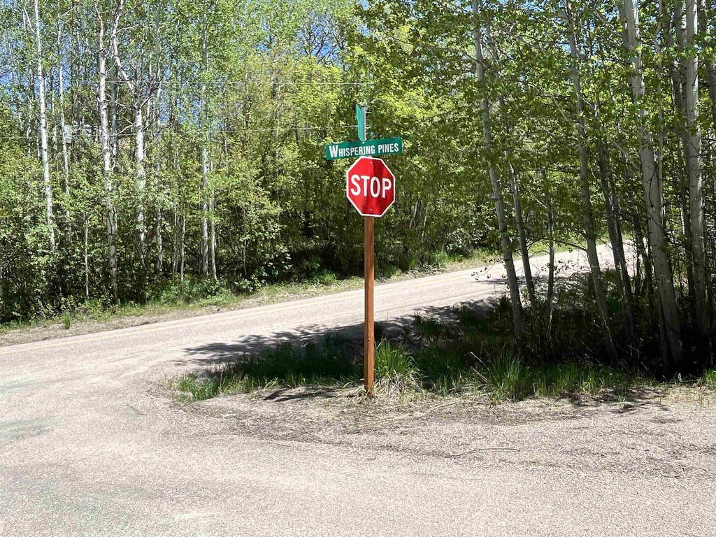 Picture 41