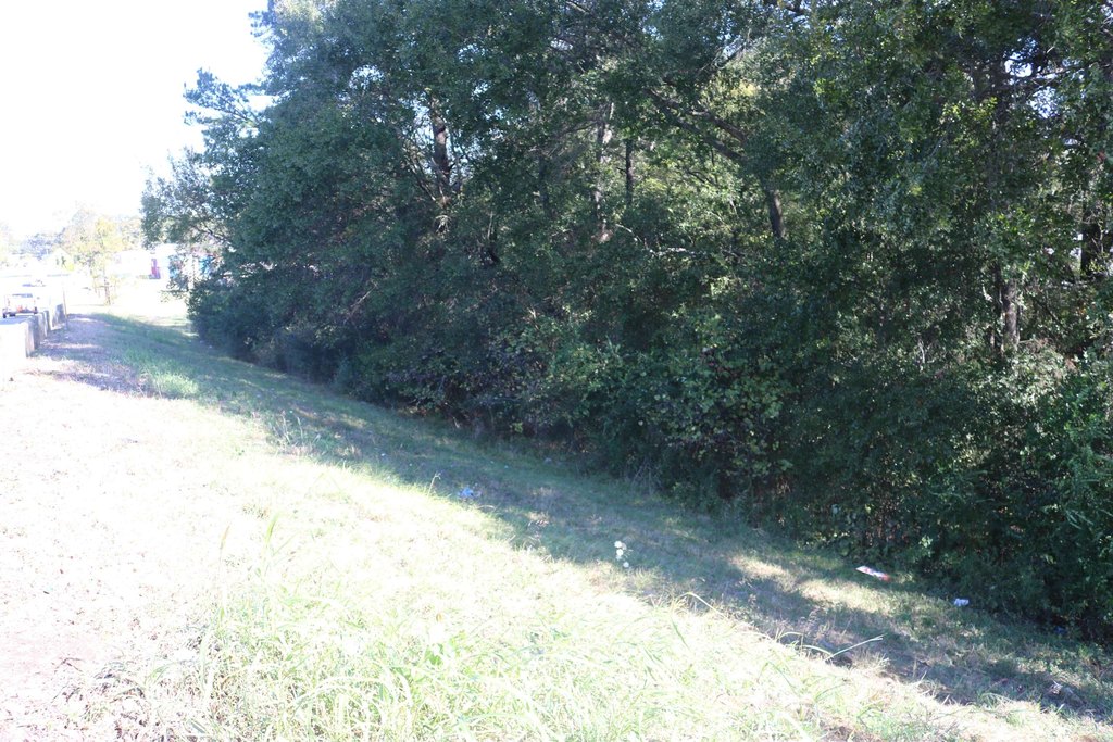 Picture 7