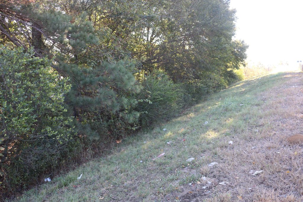 Picture 21