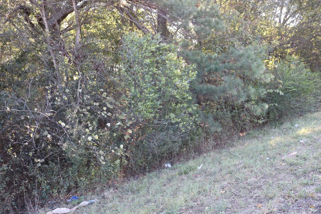 Picture 22