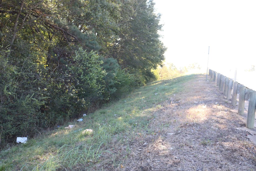 Picture 2