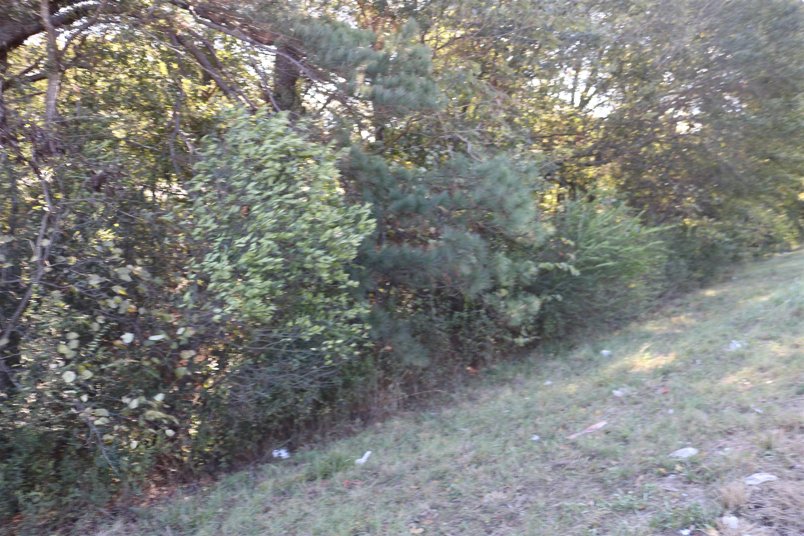 Wooded Lot in Jefferson, TX