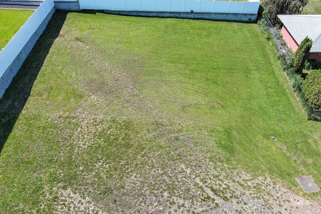 Picture 6