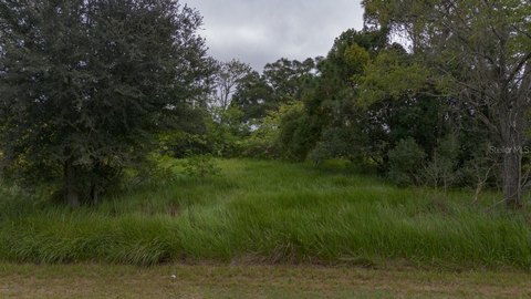 Residential Lot in Ocala, FL