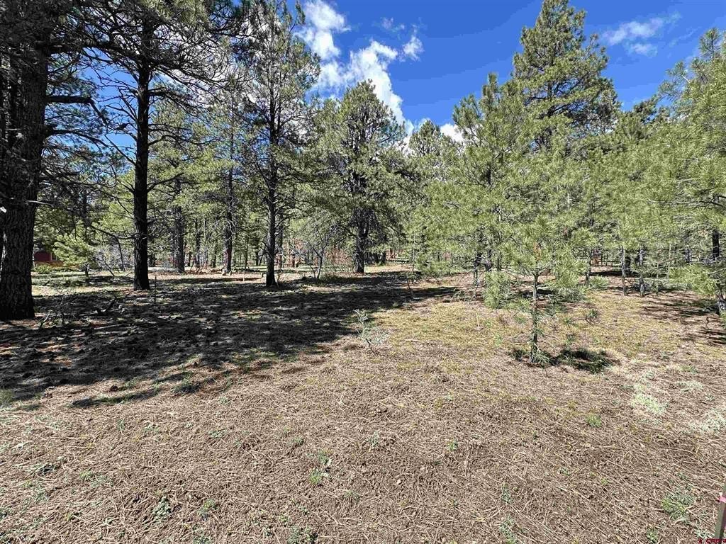 Land in Pagosa Springs, CO