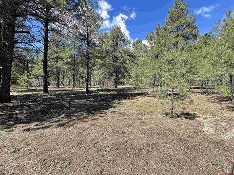 Land in Pagosa Springs, CO