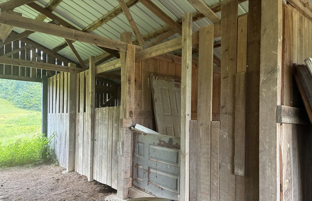 Picture 3