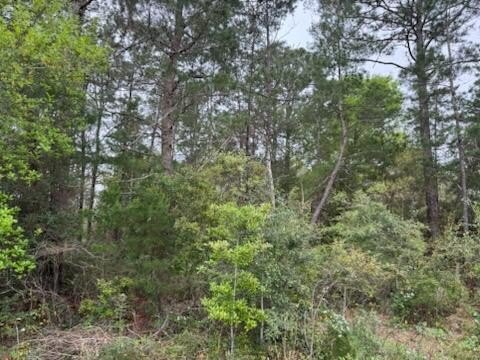 Residential Lot in Holley by the Sea