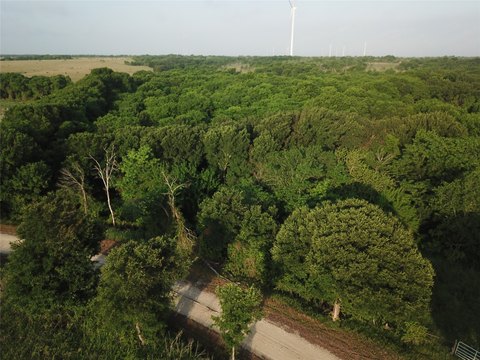 Wooded Recreation Land Tract