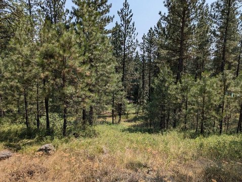 Land in Meadow Creek Community
