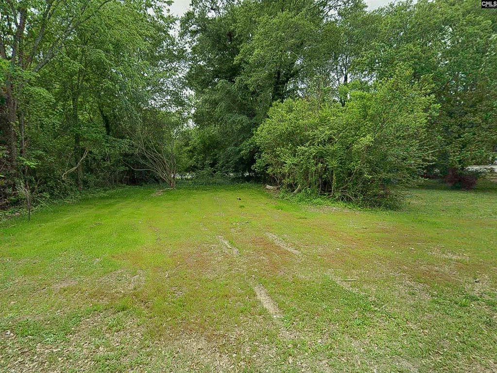 Picture 2