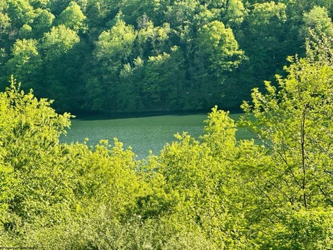Lakefront Land in Horner, WV