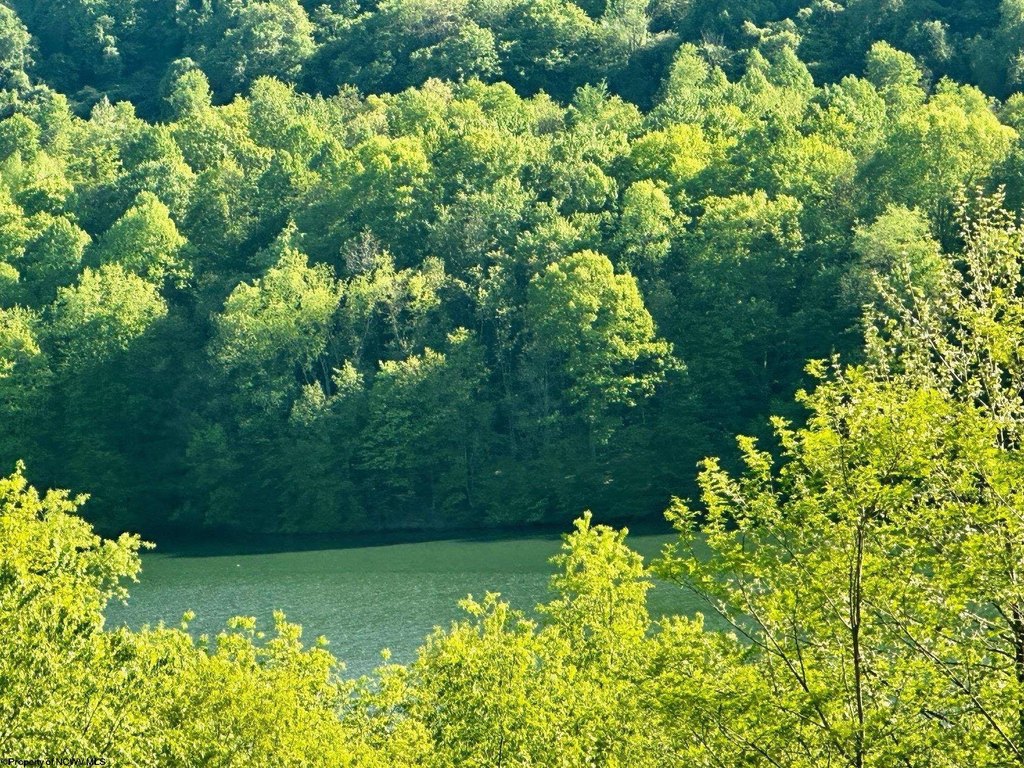 Picture 10