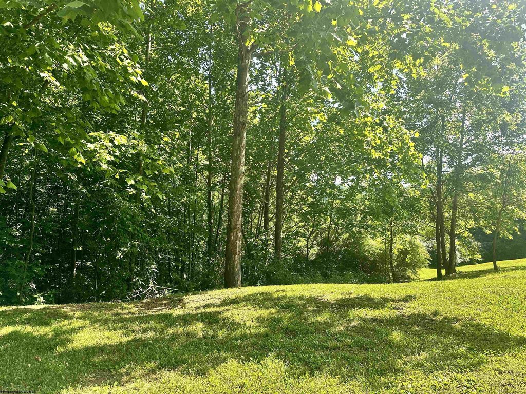 Picture 19