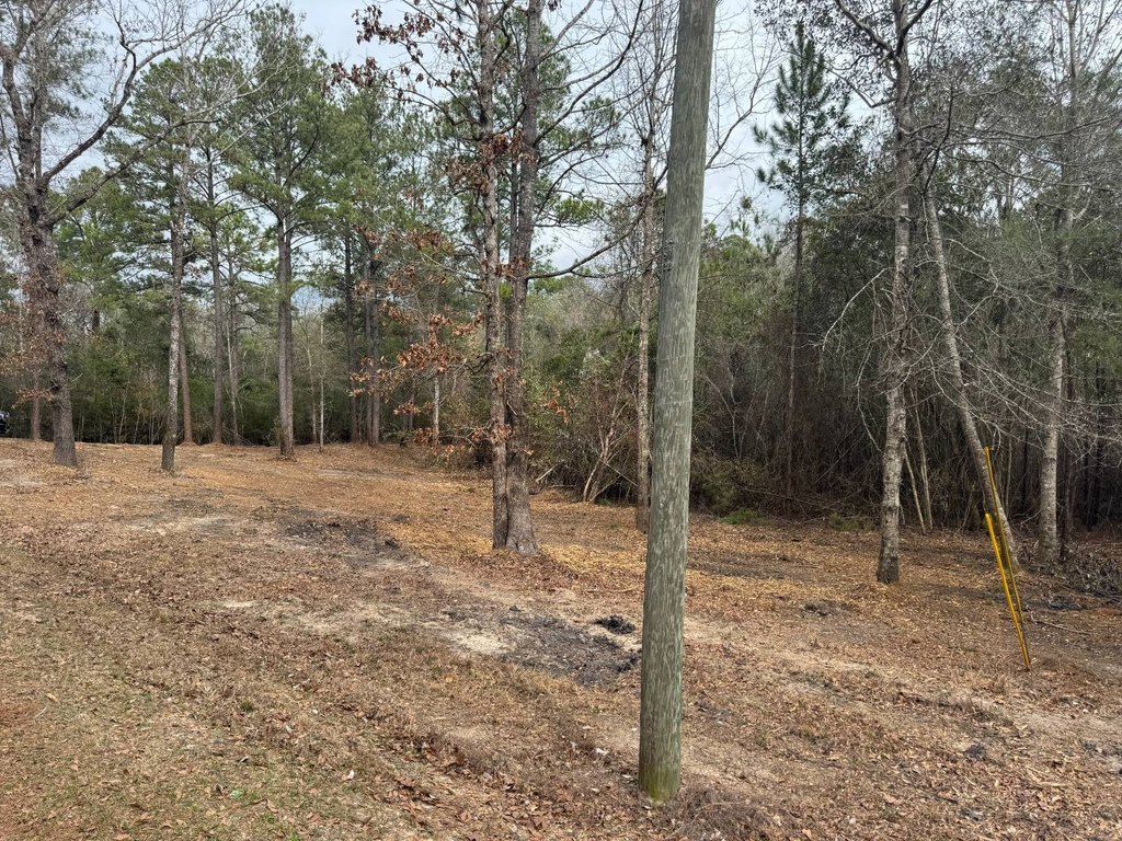 Picture 18