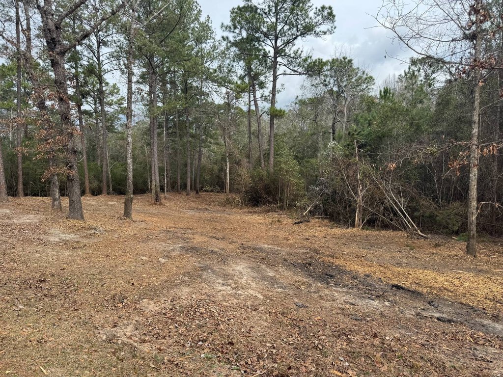 Picture 15