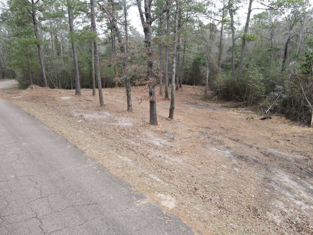 Picture 5
