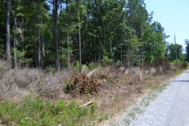 Picture 36