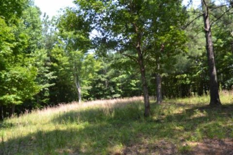LAND - Spencer, TN