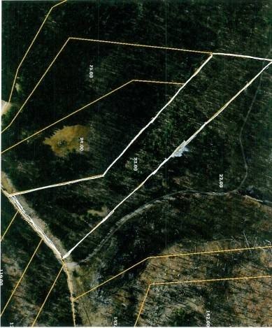 Picture 42