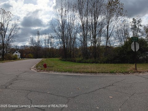 Residential Land in Perry, MI