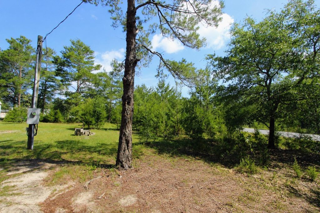Picture 3