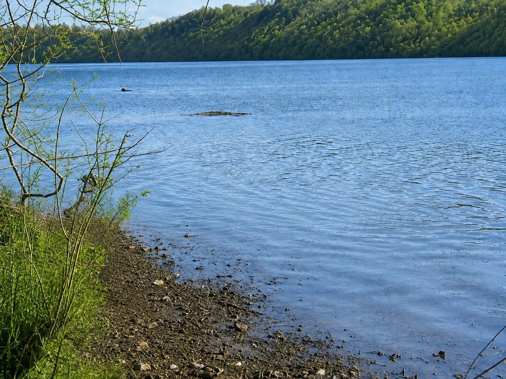 Picture 4