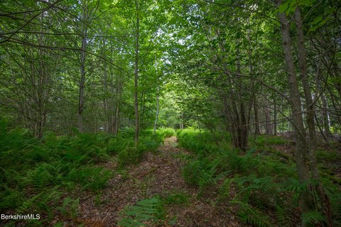 LAND - Becket, MA