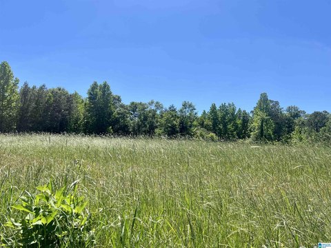 LAND - WEDOWEE, AL