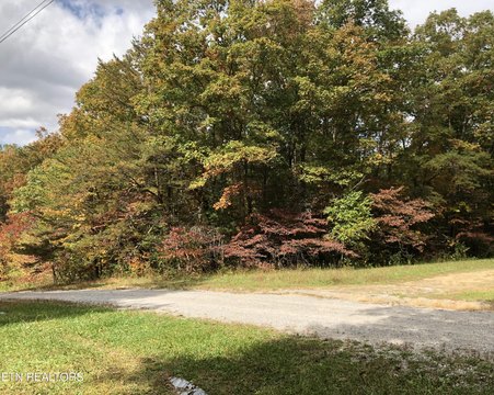 Level Wooded Corner Lot