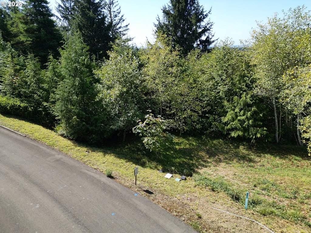 Picture 8