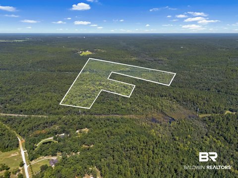 Hardwood and Pine Hunting Land