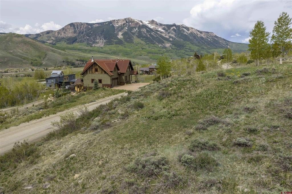 Picture 29