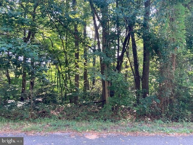 Waterfront Lot in Montross, VA