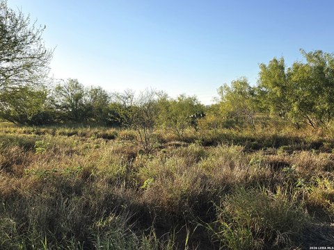Land, Cotulla, TX