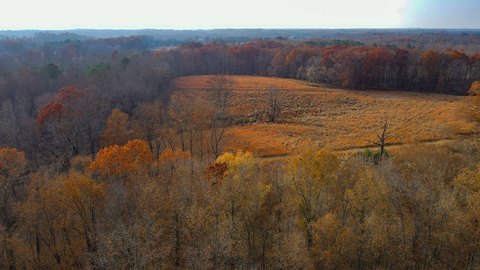 Versatile Land in Lauderdale County