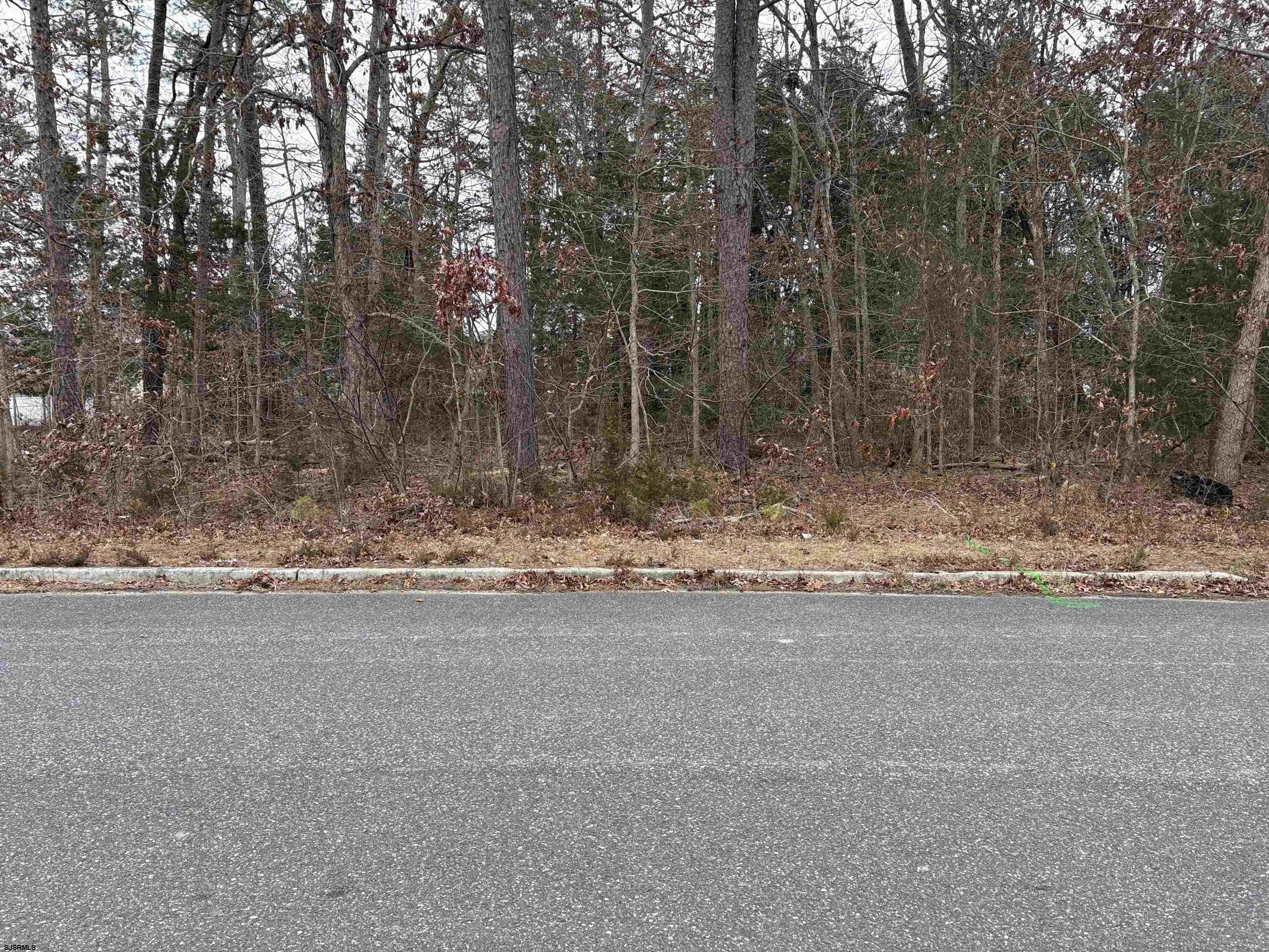 Buildable Lot in Egg Harbor