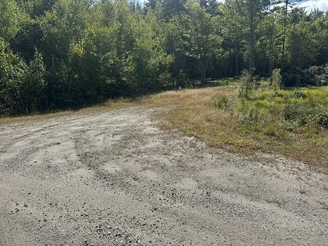 Picture 5