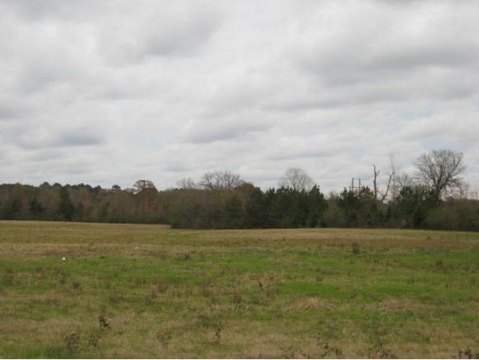 Nacogdoches Land For Sale