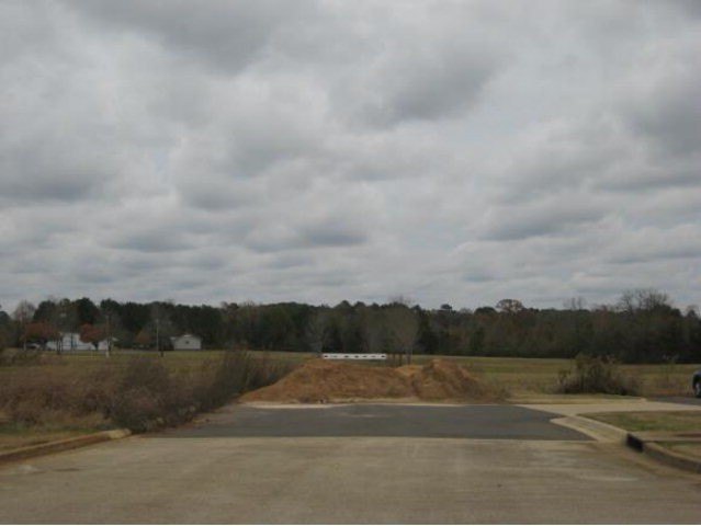 Picture 4