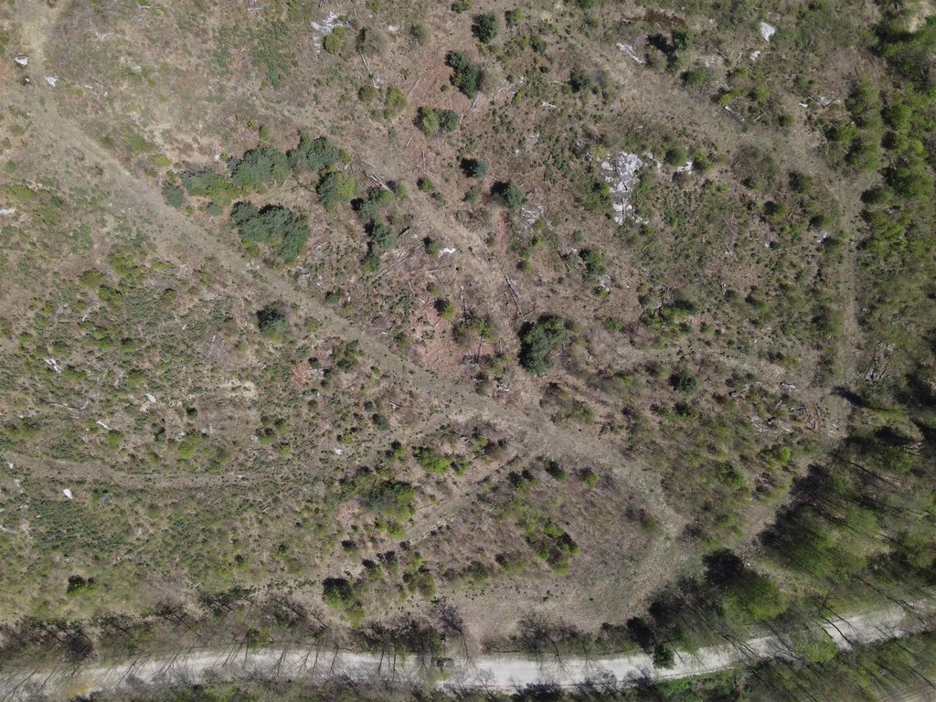 Picture 14