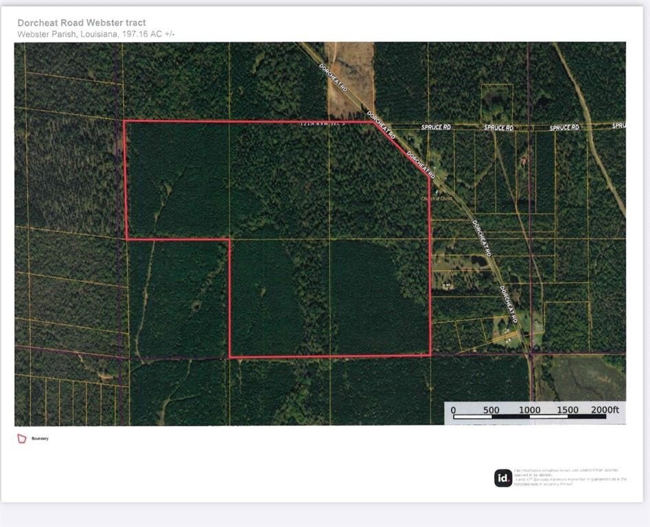 Land for Hunting and Tree Farming