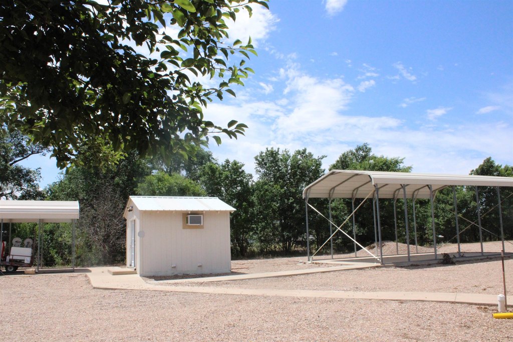 Picture 8