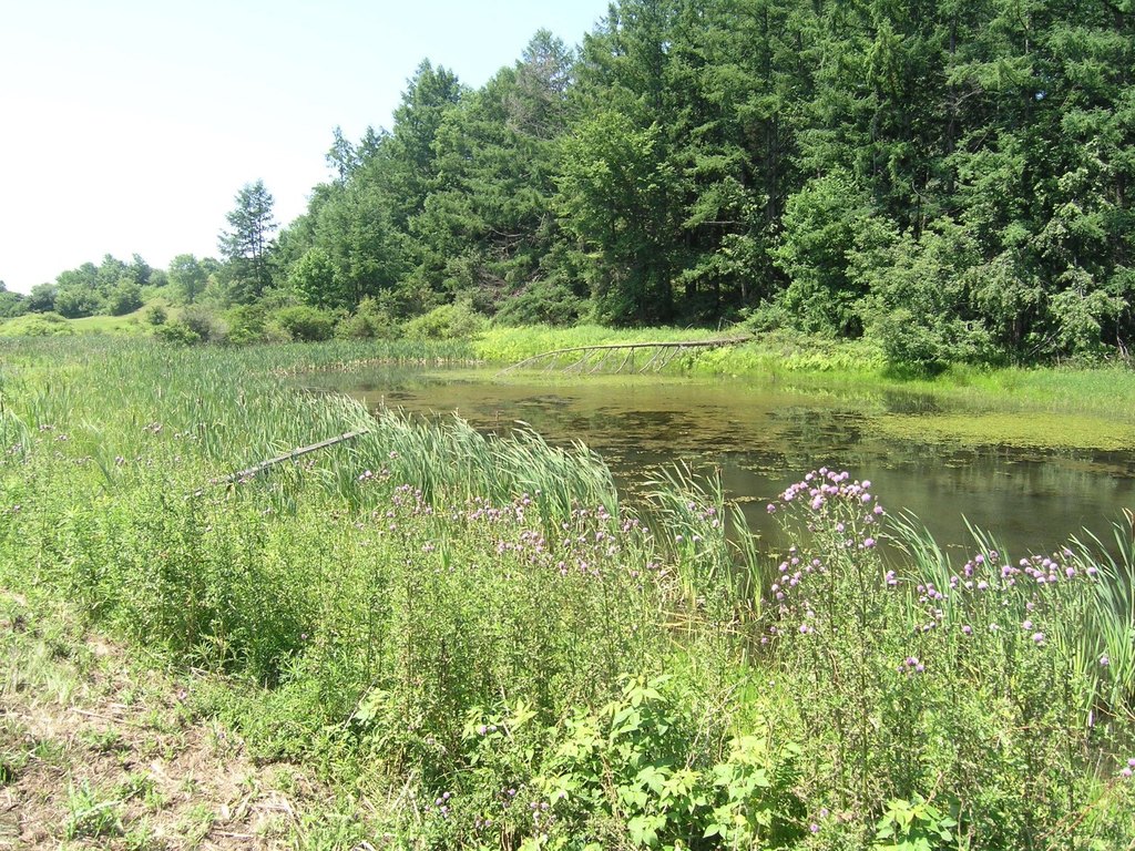 Picture 9