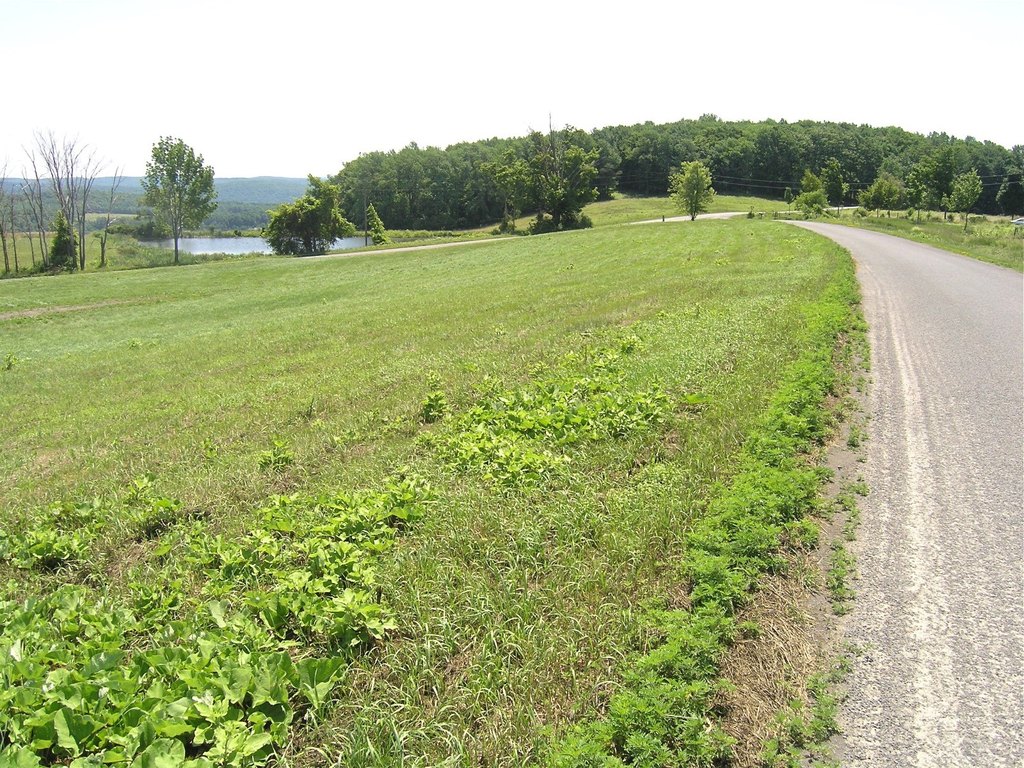 Picture 7