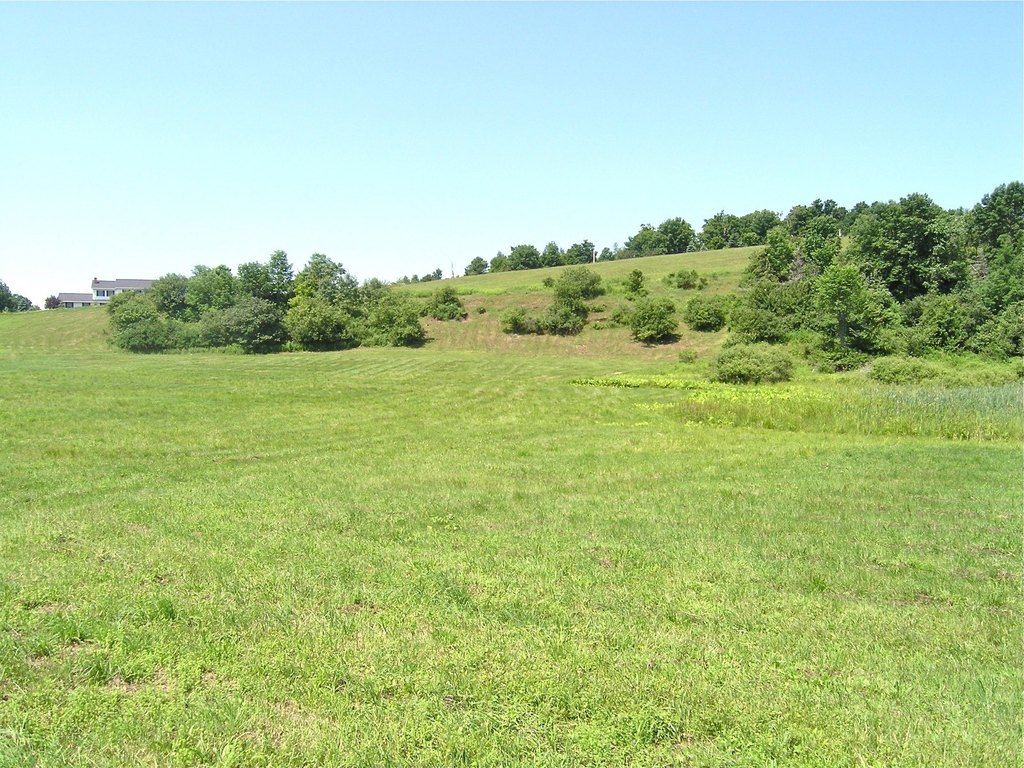 Picture 11