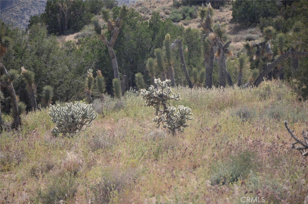 Picture 28