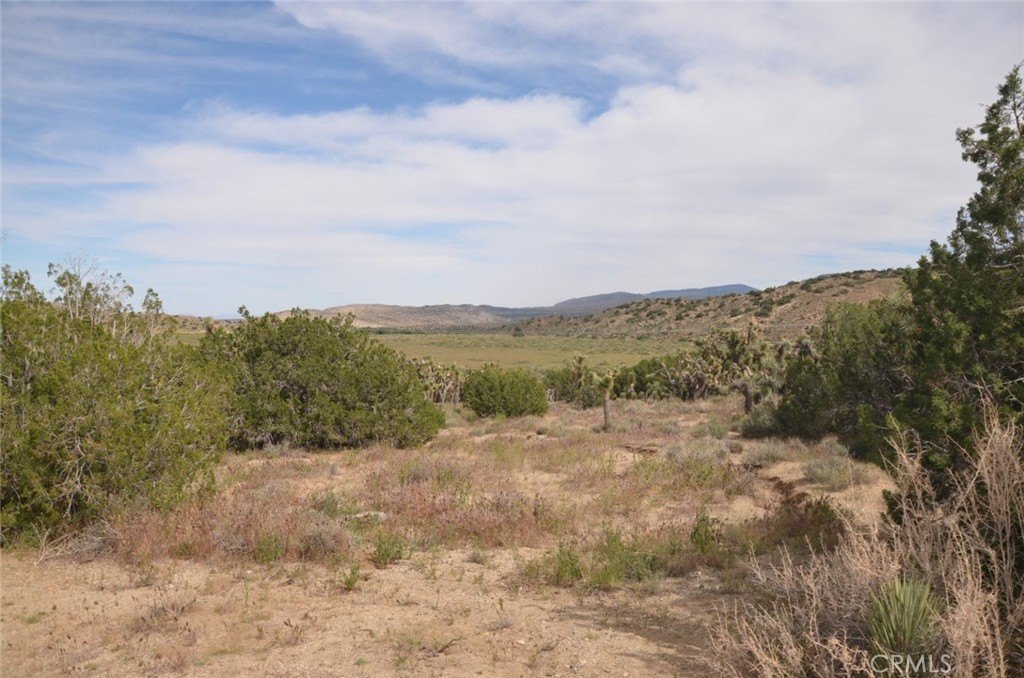 Picture 37